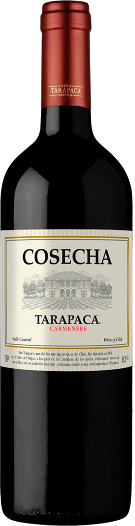 Cosecha tarapaca carmenere